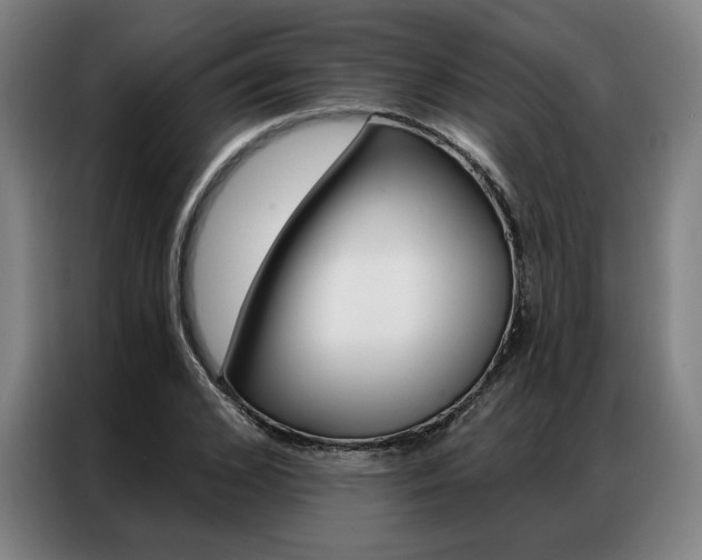 X0000087350976200704200801