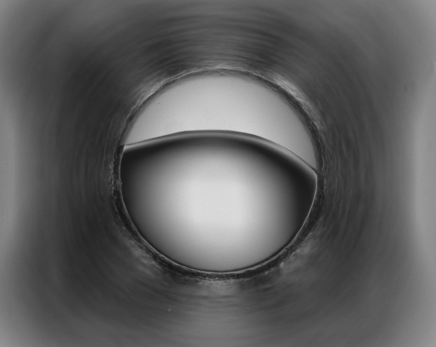 X0000087350977200704200801