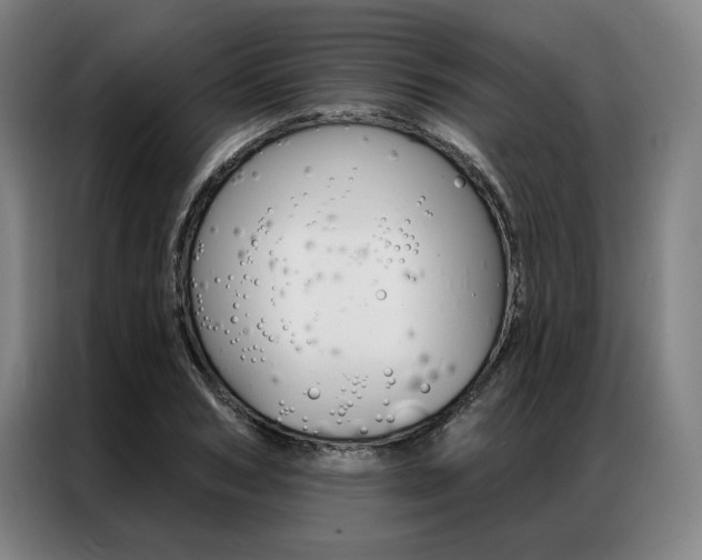 X0000087350978200704200801