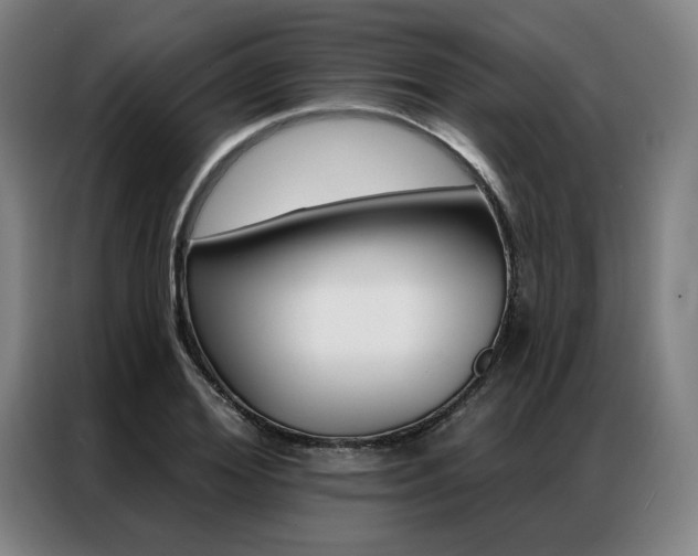 X0000087350980200704200801