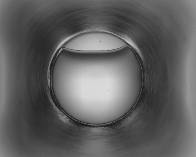 X0000087350988200704200801