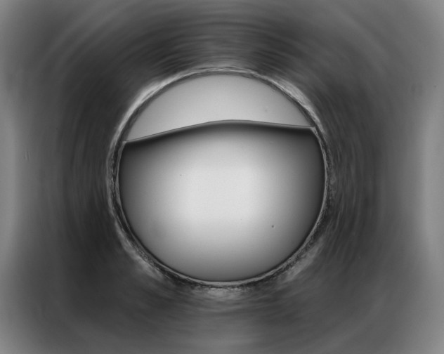 X0000087350989200704200800