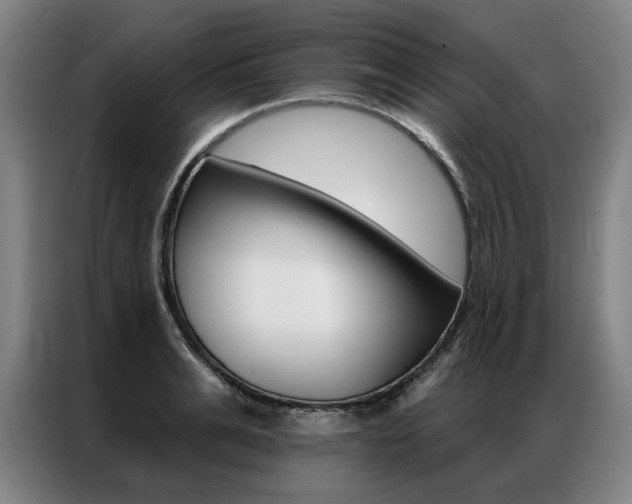 X0000087350991200704200800