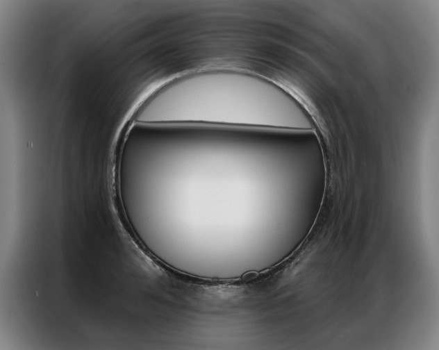X0000087350992200704200800