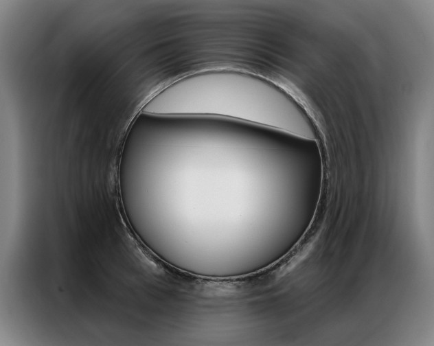 X0000087350993200704200800