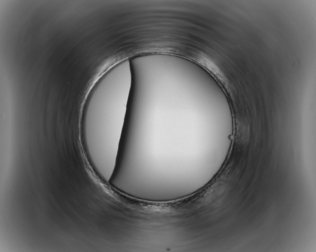 X0000087350994200704200800