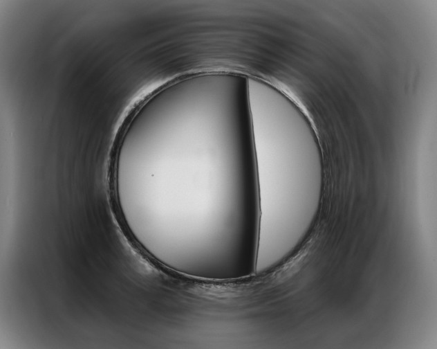X0000087350995200704200800