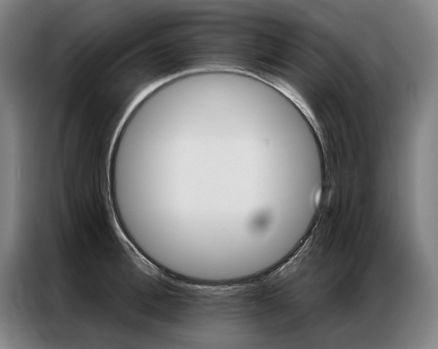 X0000087350996200704200800