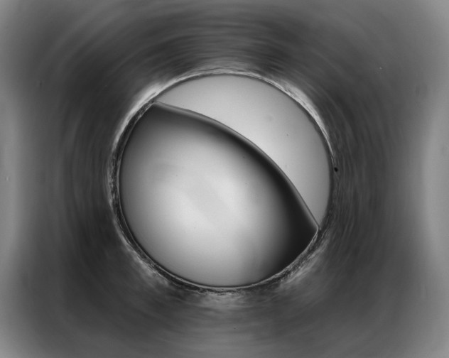 X0000087350997200704200800