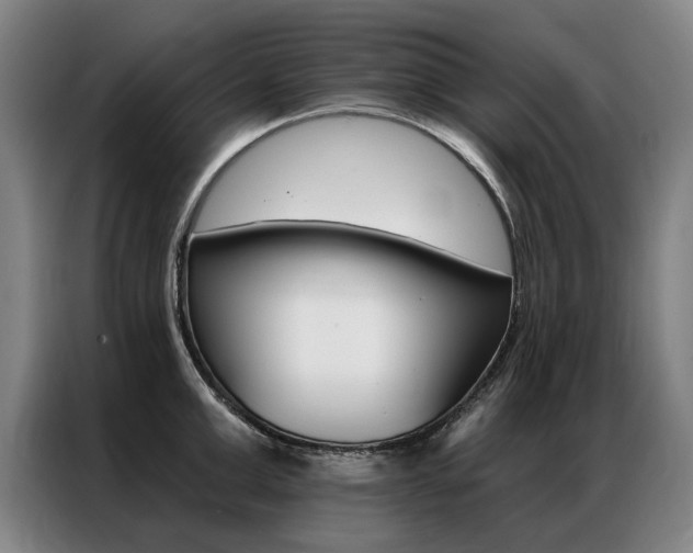 X0000087350999200704200800