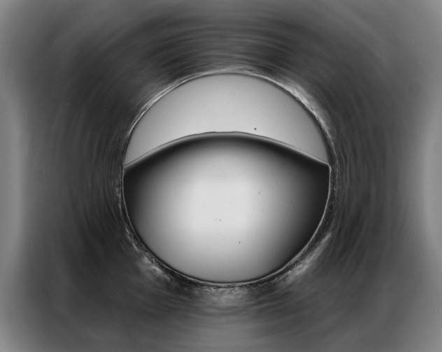 X0000087351001200704200800