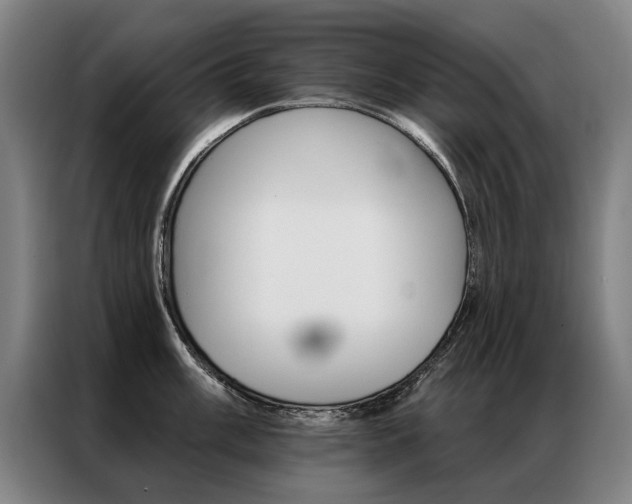 X0000087351003200704200800