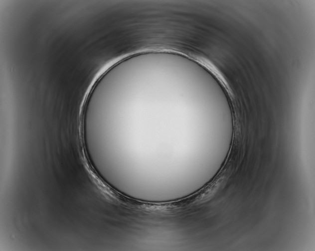 X0000087351004200704200800
