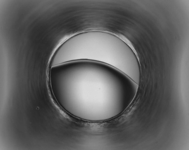 X0000087351005200704200800