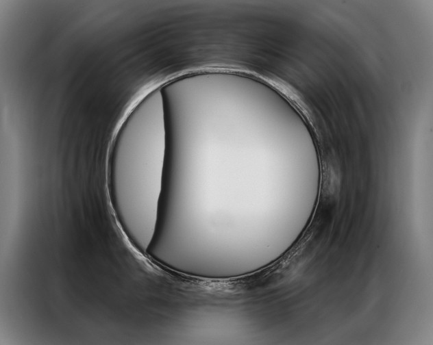 X0000087351006200704200800