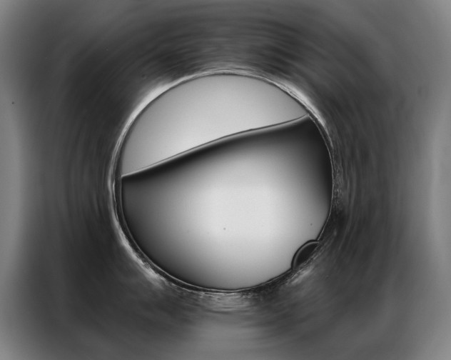 X0000087351007200704200800