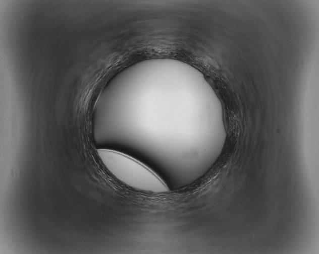 X0000087351009200704200800