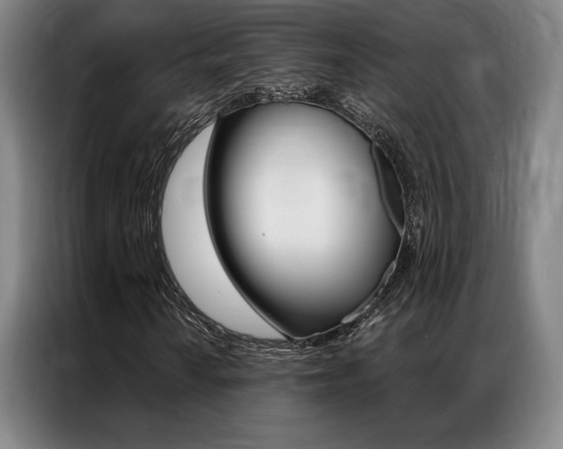 X0000087351010200704200800