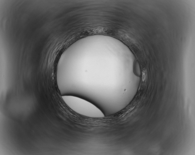 X0000087351011200704200800