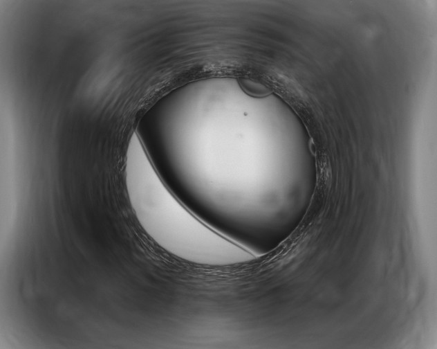 X0000087351012200704200800
