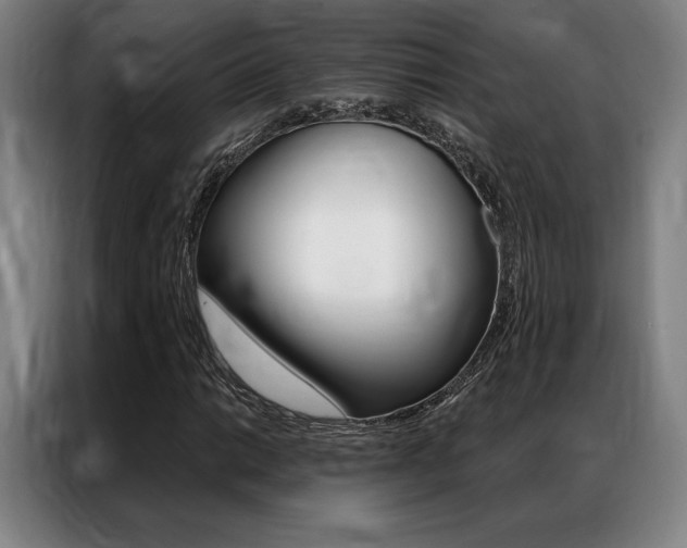 X0000087351014200704200800