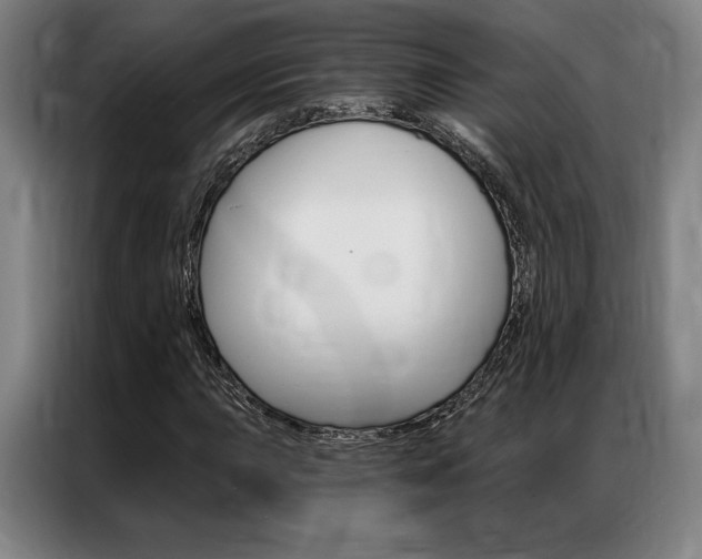 X0000087351015200704200800