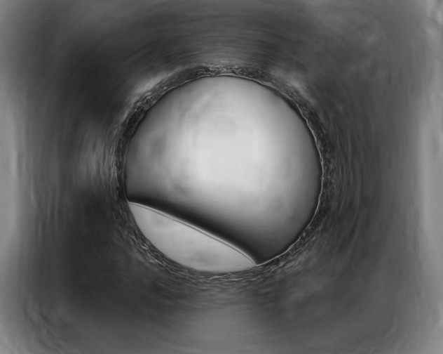 X0000087351016200704200800