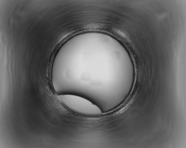 X0000087351017200704200800