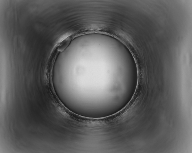 X0000087351018200704200800
