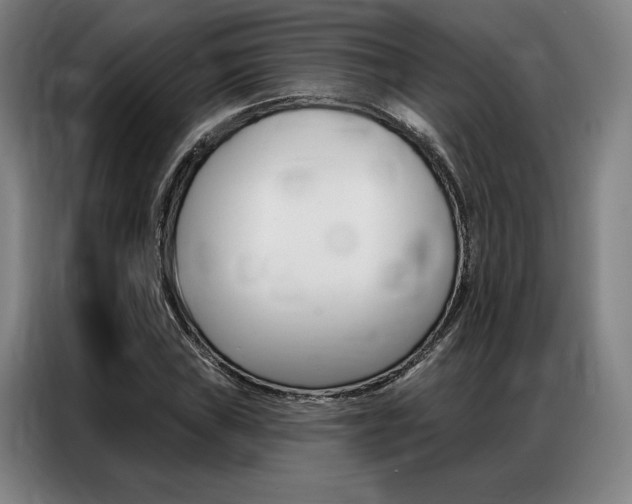 X0000087351019200704200800