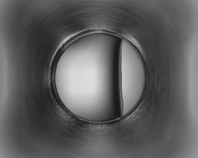 X0000087351020200704200800