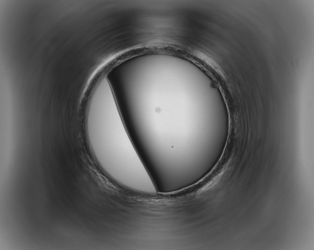 X0000087351021200704200800