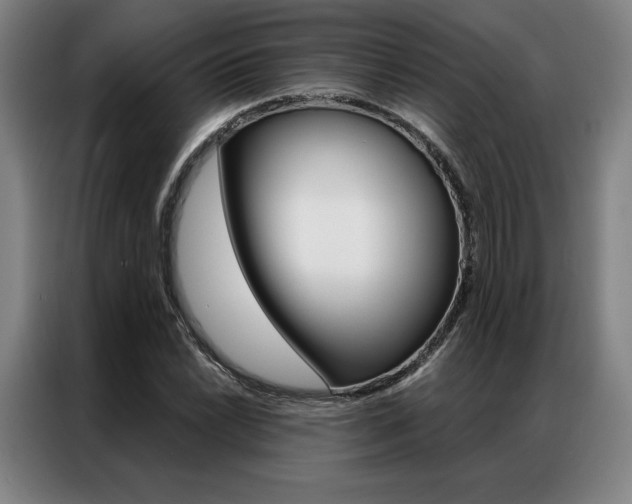 X0000087351022200704200800