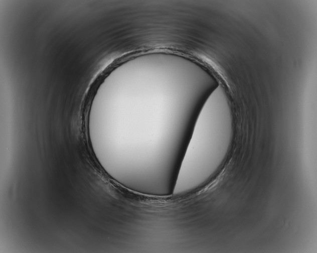 X0000087351023200704200800