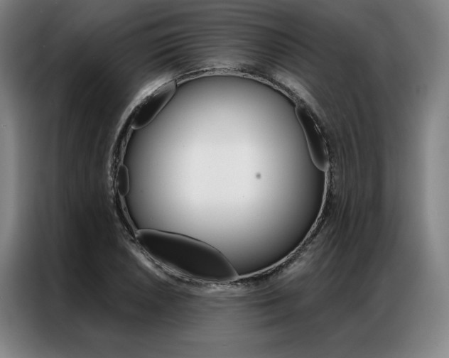 X0000087351026200704200800