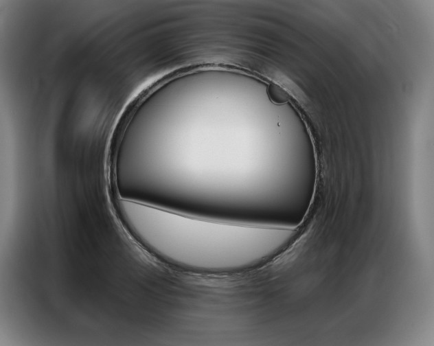 X0000087351028200704200800