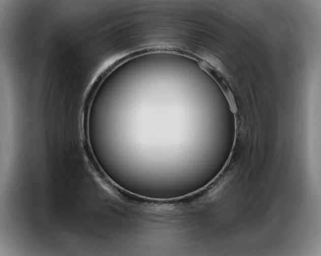 X0000087351030200704200800