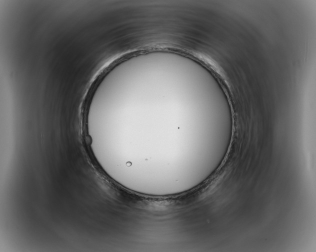 X0000087351031200704200800