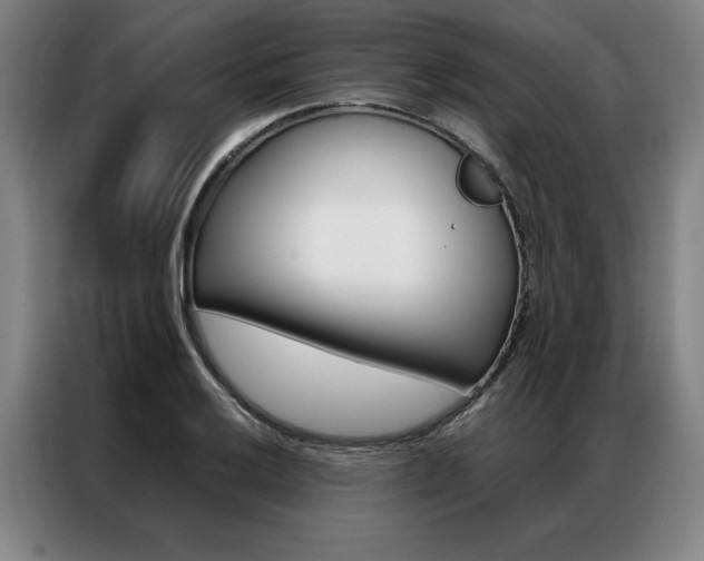 X0000087351032200704200800