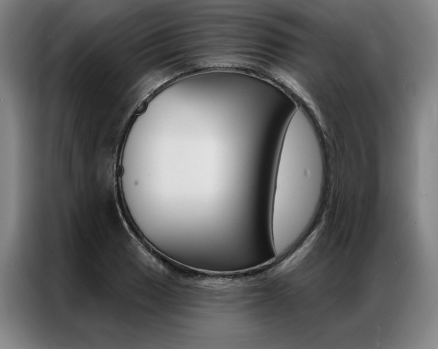 X0000087351033200704200800