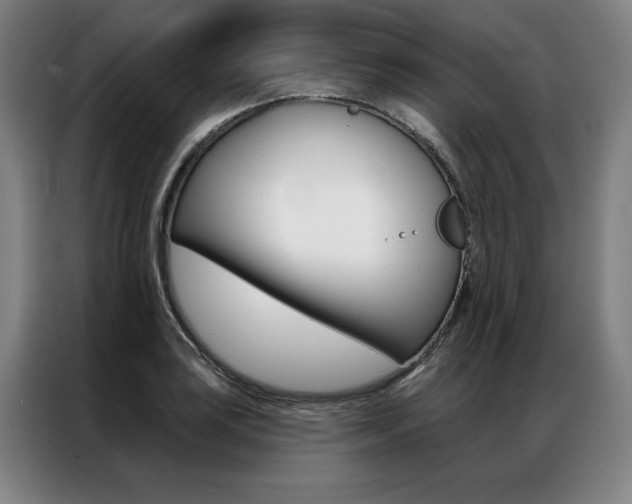 X0000087351035200704200800