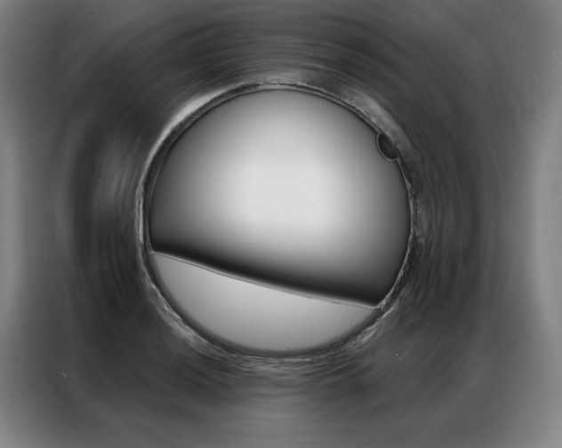 X0000087351036200704200800