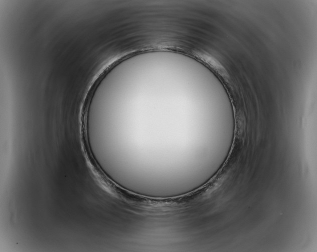 X0000087351039200704200800