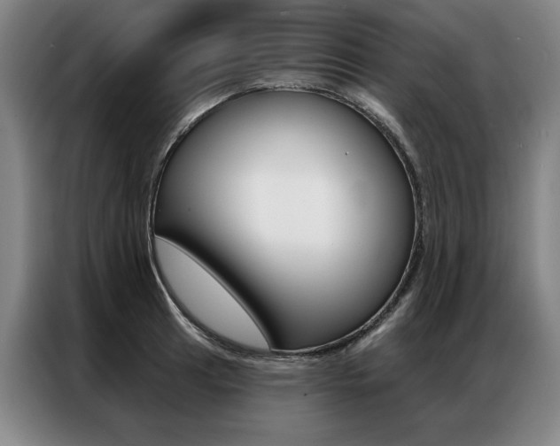 X0000087351041200704200800
