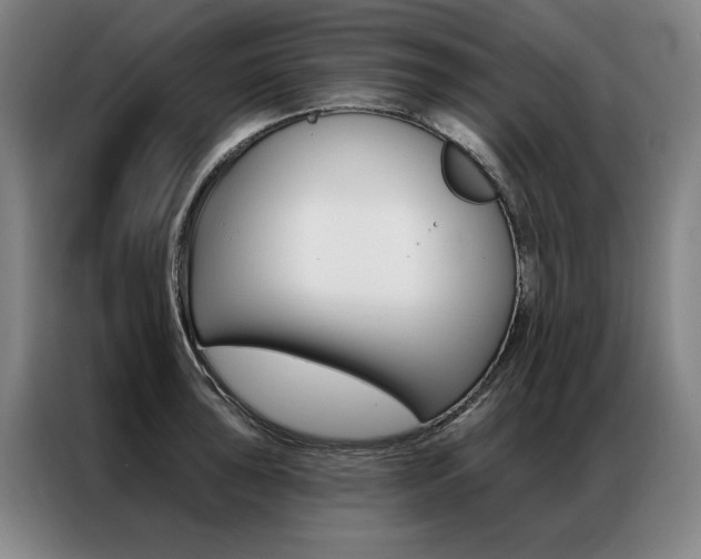 X0000087351043200704200800