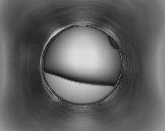 X0000087351044200704200800