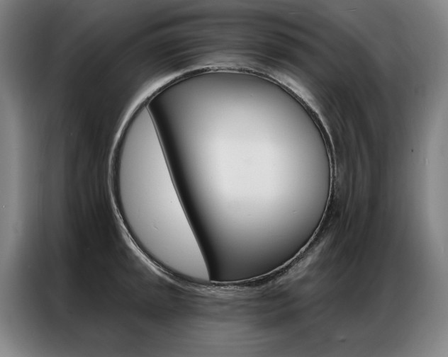 X0000087351045200704200800