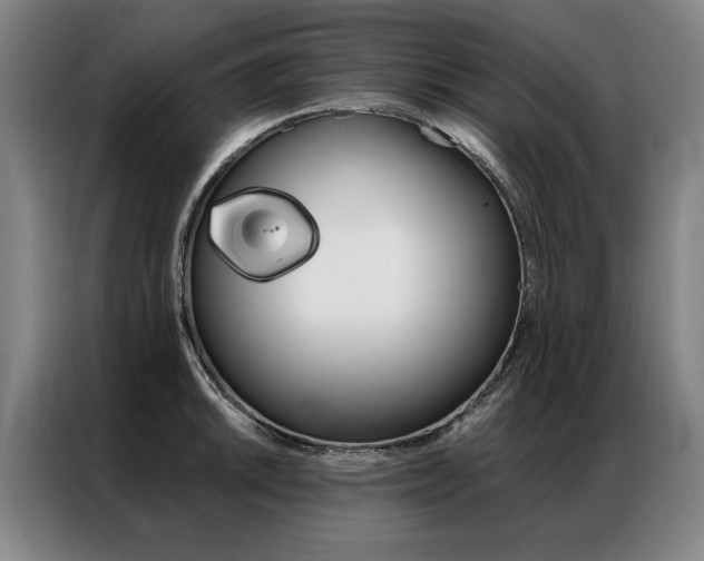 X0000087351046200704200800