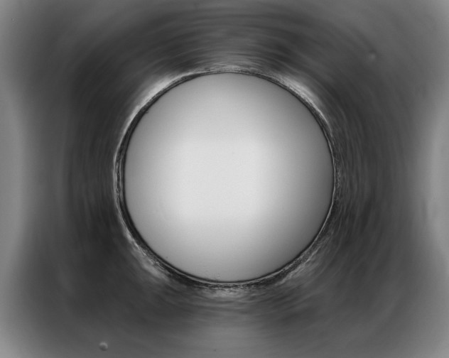 X0000087351047200704200800