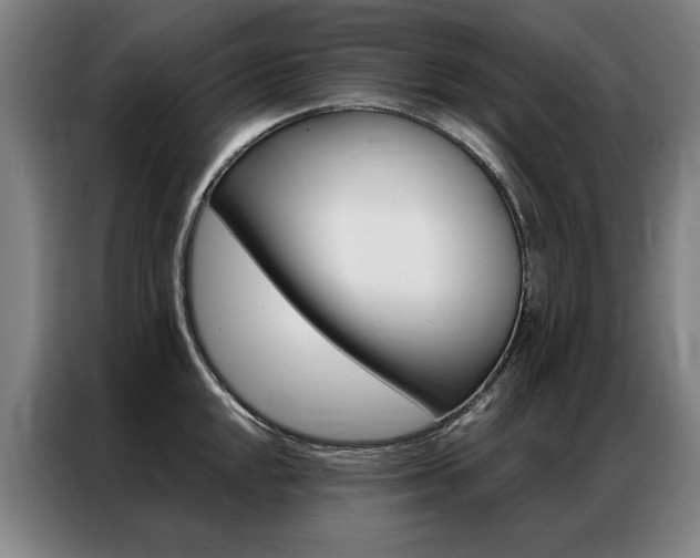 X0000087351048200704200800